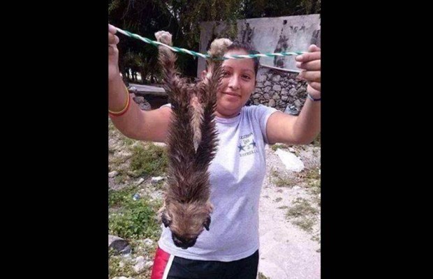 Entre bromas y lamentables casos de maltrato animal en Yucatán Entre bromas y lamentables casos de maltrato animal en Yucatán