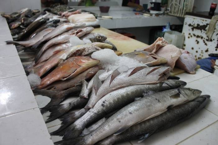 Podría aumentar hasta en un 80% la venta de pescados y mariscos Podría aumentar hasta en un 80% la venta de pescados y mariscos