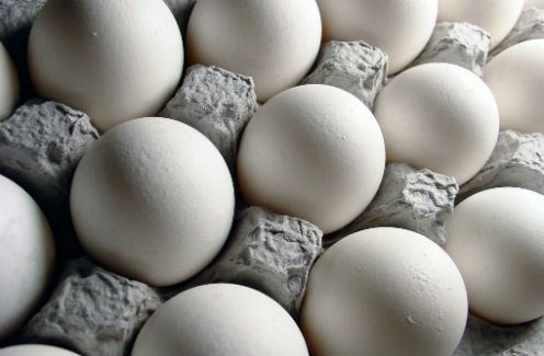 Yucatán ocupa el sexto lugar en producción de huevo Yucatán ocupa el sexto lugar en producción de huevo