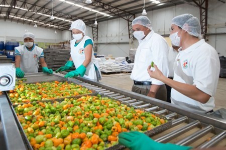 Con el impulso a las empresas se generan más empleos para los yucatecos Con el impulso a las empresas se generan más empleos para los yucatecos