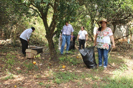 Realizan campaña de Descacharrización y Limpieza de Predios en Tekax Realizan campaña de Descacharrización y Limpieza de Predios en Tekax