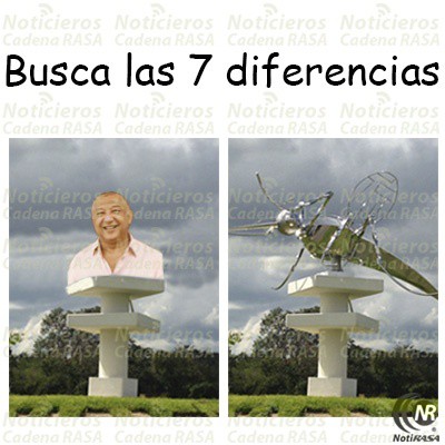 En pocas palabras