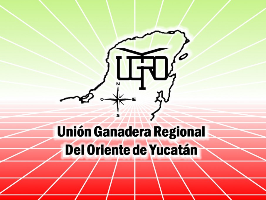  Aumentará 5% hato ganadero en el oriente del Estado