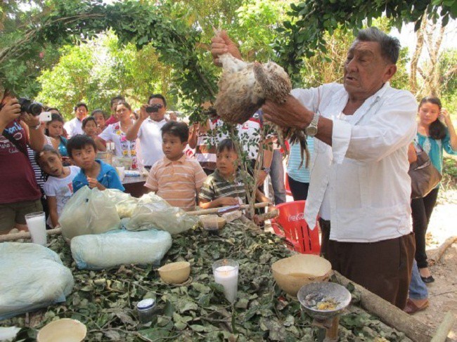 Reviven ritual maya dedicada al dios Chaac. Reviven ritual maya dedicada al dios Chaac.