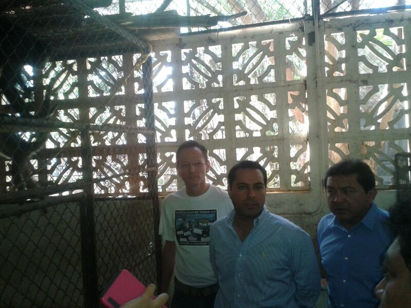 Verifica Diputado condiciones de los animales decomisados por Profepa Verifica Diputado condiciones de los animales decomisados por Profepa