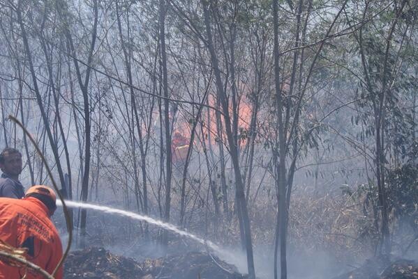 En lo que va del año 200 incendios forestales han consumido 500 hectáreas En lo que va del año 200 incendios forestales han consumido 500 hectáreas