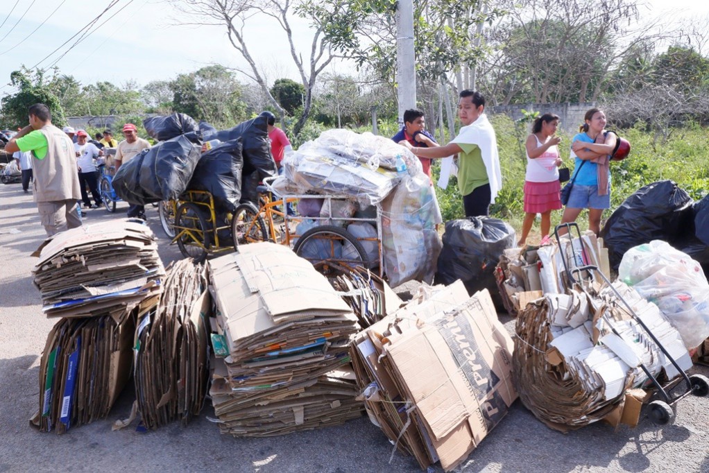 Fomentan prevención contra enfermedad de Chagas en "Recicla por tu Bienestar" en Valladolid Fomentan prevención contra enfermedad de Chagas en "Recicla por tu Bienestar" en Valladolid