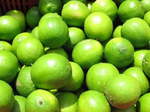 El limón sigue caro, pero hay confianza en que baje este mes El limón sigue caro, pero hay confianza en que baje este mes