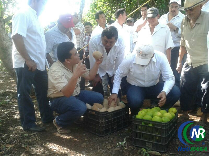 Continuará la construcción de caminos sacacosechas Continuará la construcción de caminos sacacosechas