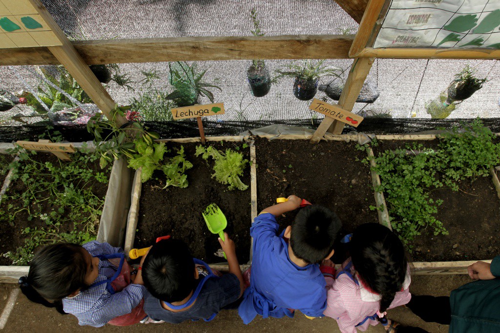 Los niños opinan como debemos cuidar nuestro planeta Tierra Los niños opinan como debemos cuidar nuestro planeta Tierra