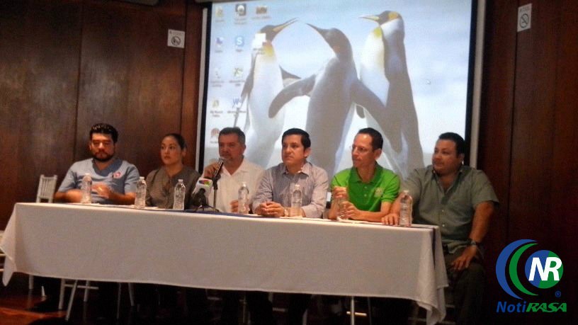 Realizarán la segunda campaña de esterilización de perros y gatos