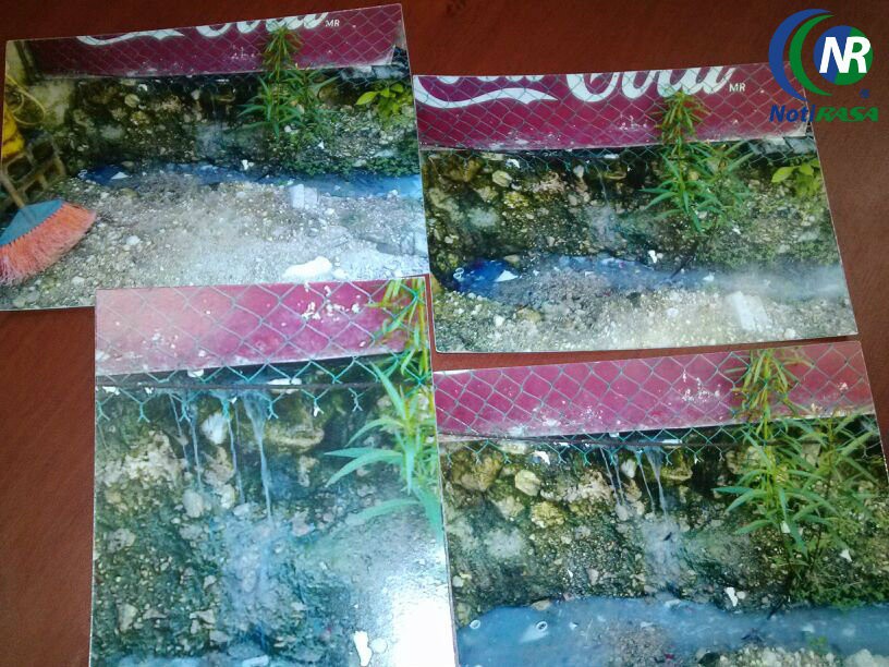 Denuncian a vecina que desagua en el patio de su casa Denuncian a vecina que desagua en el patio de su casa