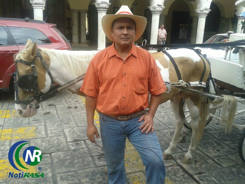 Es muy duro sobrevivir, afirman caleseros de Mérida Es muy duro sobrevivir, afirman caleseros de Mérida