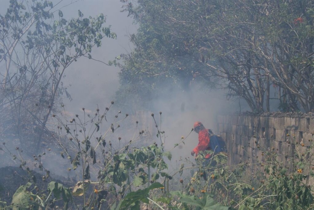 A la baja estadística de incendios en la entidad A la baja estadística de incendios en la entidad