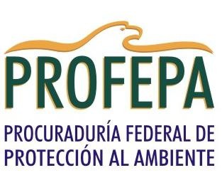 Caza y captura ilegal, temas prioritarios para la Profepa en Yucatán Caza y captura ilegal, temas prioritarios para la Profepa en Yucatán