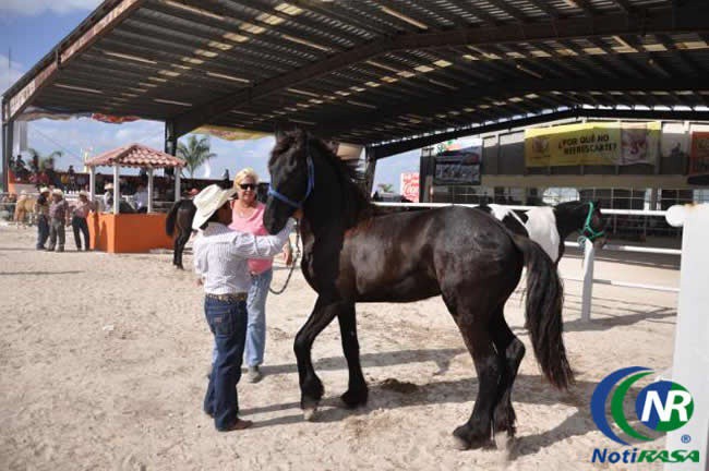 Realizarán la 2ª edición de la feria del caballo en Tizimín Realizarán la 2ª edición de la feria del caballo en Tizimín