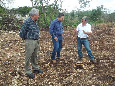 ESPITA: Ayuntamiento le apuesta a sistemas de riego que garantizan mejor producción en la agricultura. ESPITA: Ayuntamiento le apuesta a sistemas de riego que garantizan mejor producción en la agricultura.