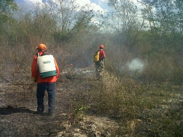 Yucatán con efectiva prevención y combate de incendios Yucatán con efectiva prevención y combate de incendios