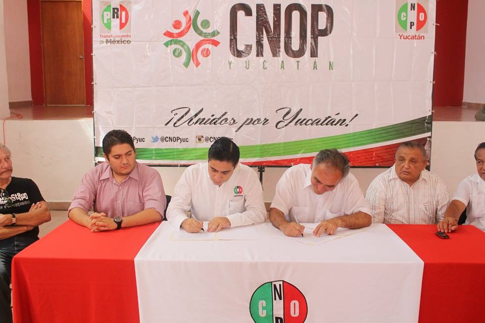350 músicos se unen a la CNOP 350 músicos se unen a la CNOP