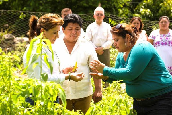 Respaldan proyectos productivos en zonas rurales Respaldan proyectos productivos en zonas rurales