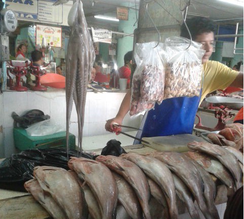 Afirman que hay pulpo, pero no ganancias Afirman que hay pulpo, pero no ganancias