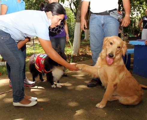 Avanza proyecto de Canoterapia del DIF Mérida Avanza proyecto de Canoterapia del DIF Mérida