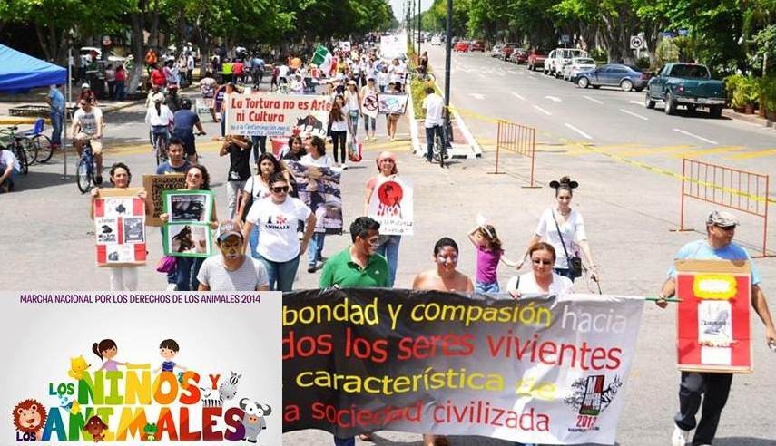 Se realizará la marcha nacional por los derechos de los animales Se realizará la marcha nacional por los derechos de los animales