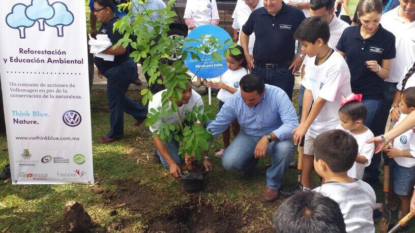 Siembran más árboles en el fraccionamiento Francisco de Montejo Siembran más árboles en el fraccionamiento Francisco de Montejo