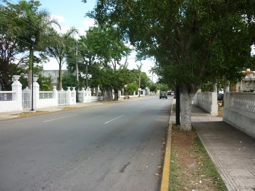 Proponen reactivar residencias o comercios de la Avenida Colón Proponen reactivar residencias o comercios de la Avenida Colón