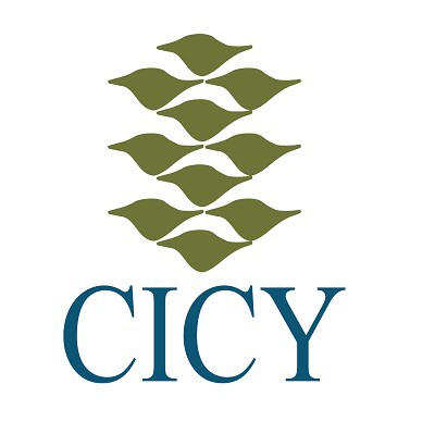 El Cicy festeja sus 35 años con una carrera ecológica El Cicy festeja sus 35 años con una carrera ecológica
