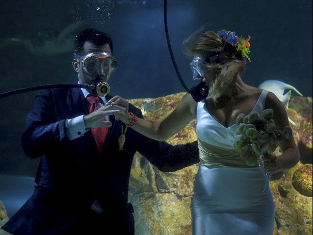 El domingo será la primera boda subacuática en Yucatán El domingo será la primera boda subacuática en Yucatán