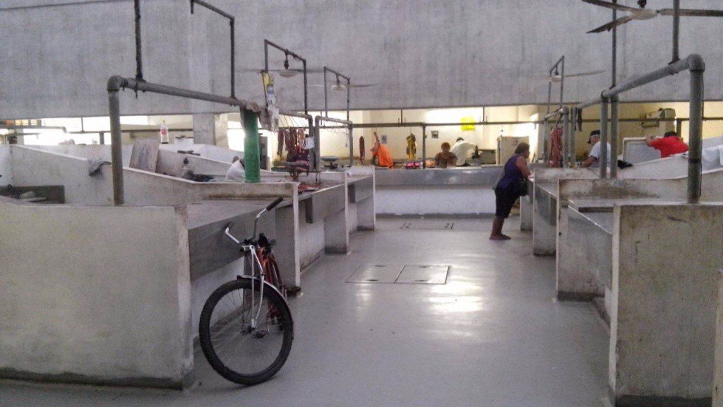 El mercado municipal de Progreso, un foco rojo para la salud El mercado municipal de Progreso, un foco rojo para la salud