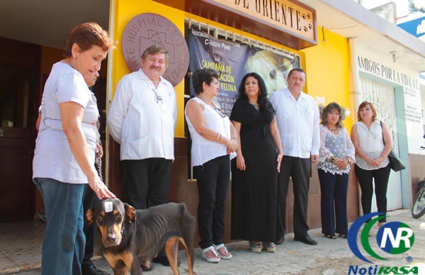 Inicia en Valladolid 4ta campaña de esterilización canina y felina Inicia en Valladolid 4ta campaña de esterilización canina y felina