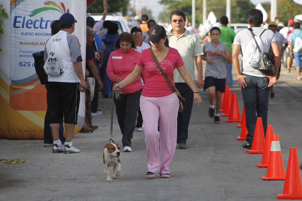 Este domingo se realizará la caminata canina Spezia en paseo verde Este domingo se realizará la caminata canina Spezia en paseo verde