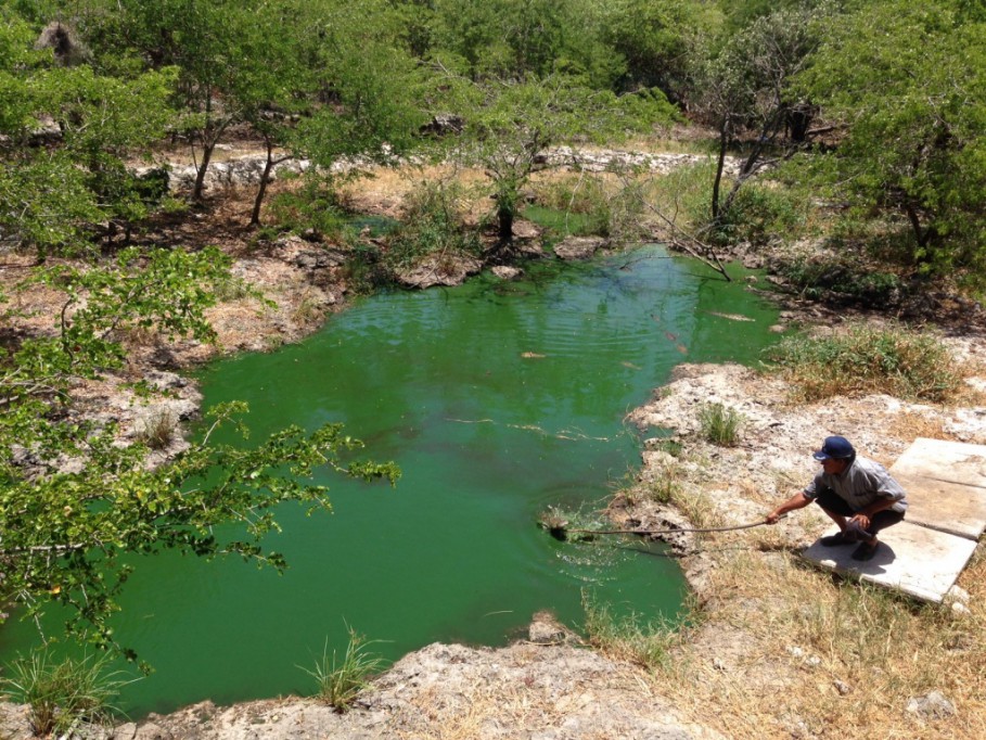 Gran variedad turística en comunidades mayas Gran variedad turística en comunidades mayas