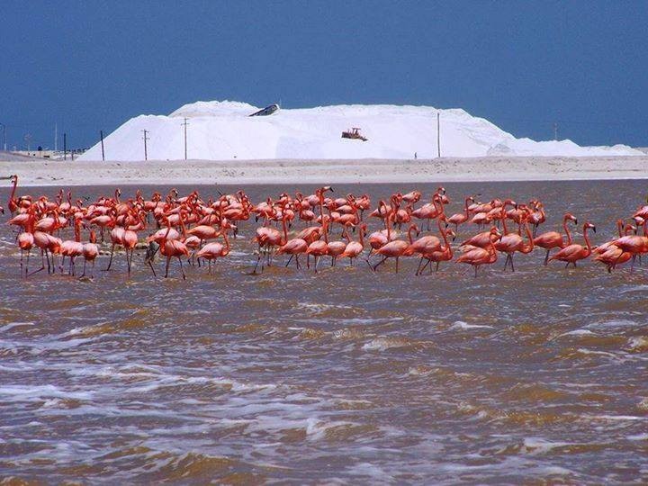 Empresarios tizimileños crean un consejo para impulsar el turismo de la región oriente del estado Empresarios tizimileños crean un consejo para impulsar el turismo de la región oriente del estado