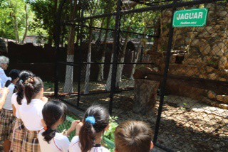 Más de 50 animales ha enviado la Profepa al Centenario