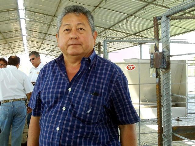Productores porcícolas mantienen crecimiento del 20% anual Productores porcícolas mantienen crecimiento del 20% anual
