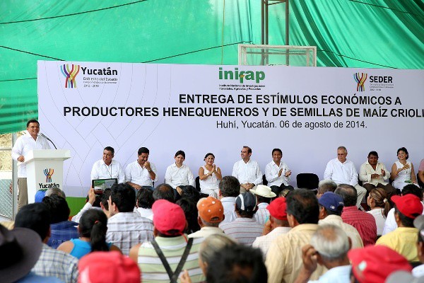 Más de cinco mil henequeneros y maiceros ya recibieron apoyos del Gobierno Estatal Más de cinco mil henequeneros y maiceros ya recibieron apoyos del Gobierno Estatal