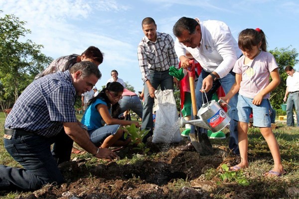 Reforestan los parques de Mérida Reforestan los parques de Mérida