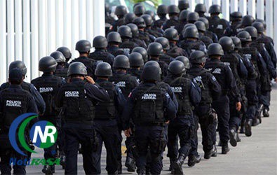 Crean la División de Gendarmería Crean la División de Gendarmería