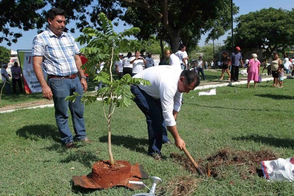 Continúa la siembra de un millón de árboles en Yucatán Continúa la siembra de un millón de árboles en Yucatán