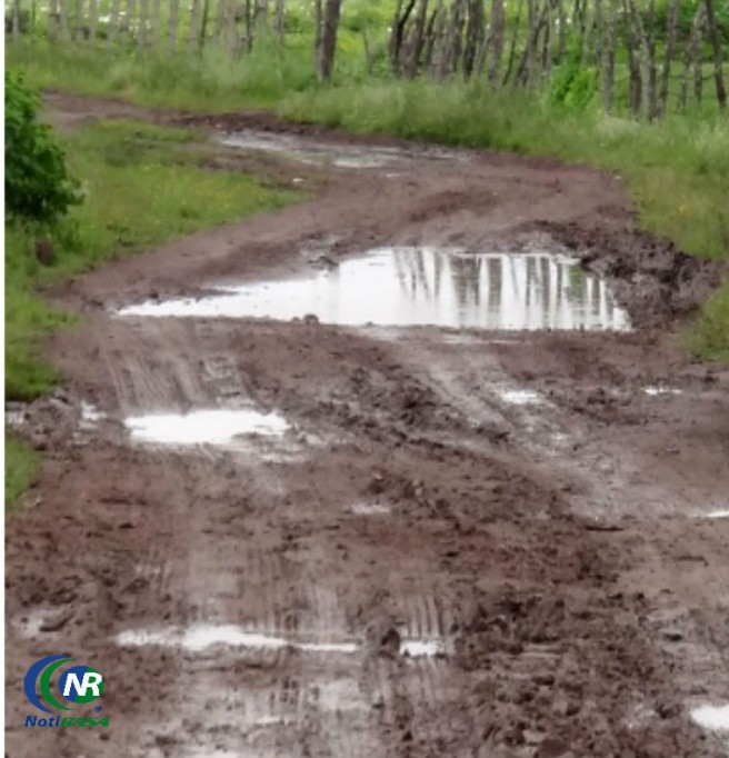 Las inundaciones traen bendiciones y tragedias para la agricultura del Cono Sur Las inundaciones traen bendiciones y tragedias para la agricultura del Cono Sur