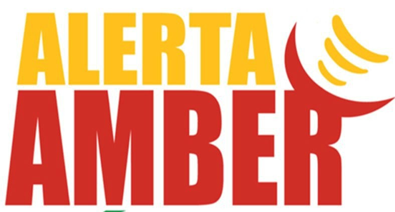 Casi 500 menores localizados en el Estado por la Alerta Amber Casi 500 menores localizados en el Estado por la Alerta Amber