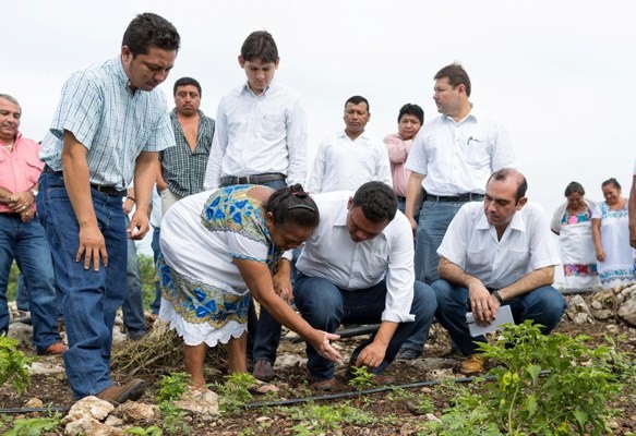 Insentivan la Conservación y Uso Sustentable de Suelo y Agua en Yucatán Insentivan la Conservación y Uso Sustentable de Suelo y Agua en Yucatán