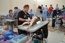 Kanasín: Inicia en Kanasín la Semana Nacional de Reforzamiento de Vacunación Antirrábica de Perros y Gatos 2013 Kanasín: Inicia en Kanasín la Semana Nacional de Reforzamiento de Vacunación Antirrábica de Perros y Gatos 2013