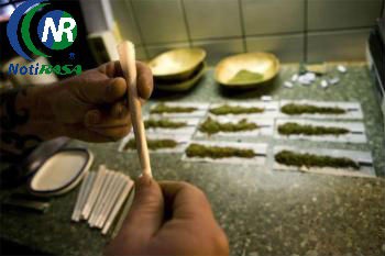 México no esta preparado para la legalización de la marihuana México no esta preparado para la legalización de la marihuana