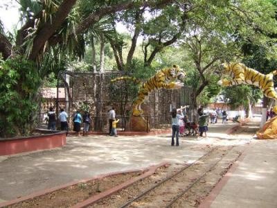 Zoológicos no abrirán el lunes 15 de septiembre Zoológicos no abrirán el lunes 15 de septiembre