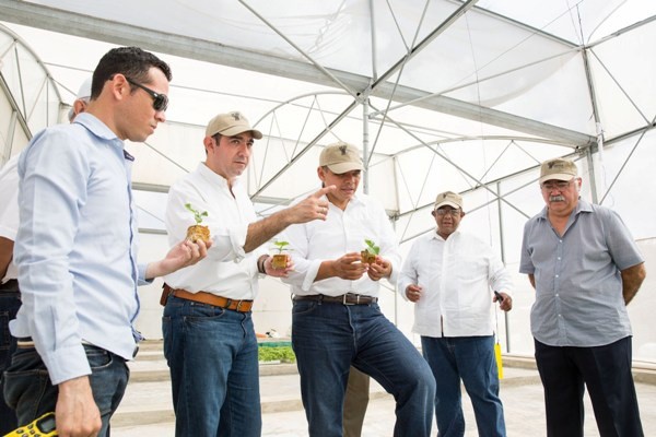 Gobernador vivista invernadero maya vegetales del Grupo La Anita Gobernador vivista invernadero maya vegetales del Grupo La Anita
