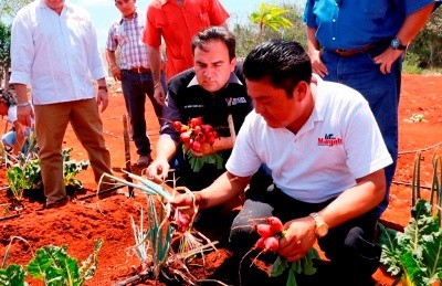 Avanza cobertura de huertos de traspatio en el Estado Avanza cobertura de huertos de traspatio en el Estado